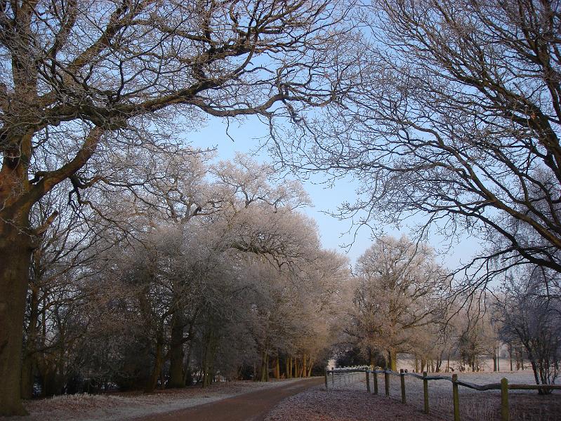 Wychcroft 2009 002.jpg